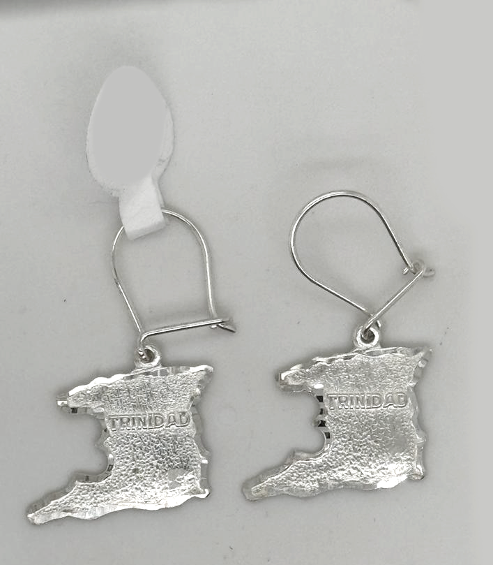Silver Hanging Earring