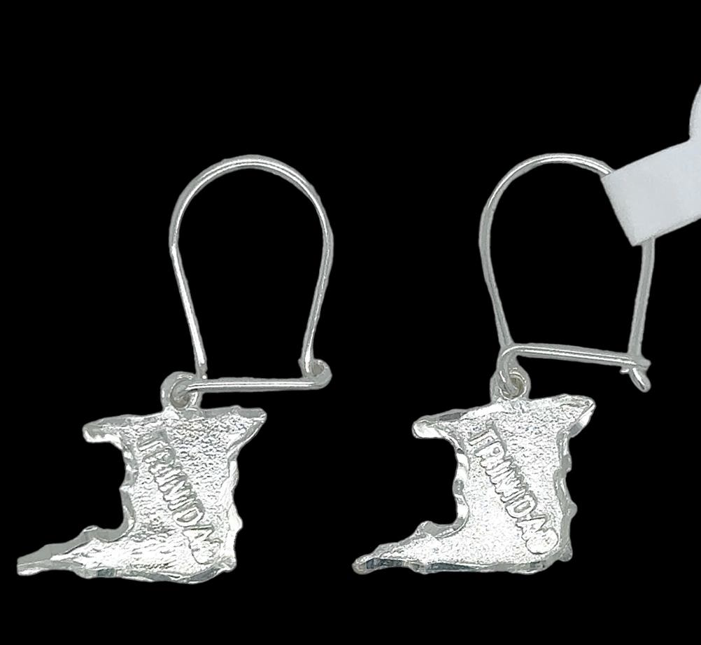 Silver Hanging Earring