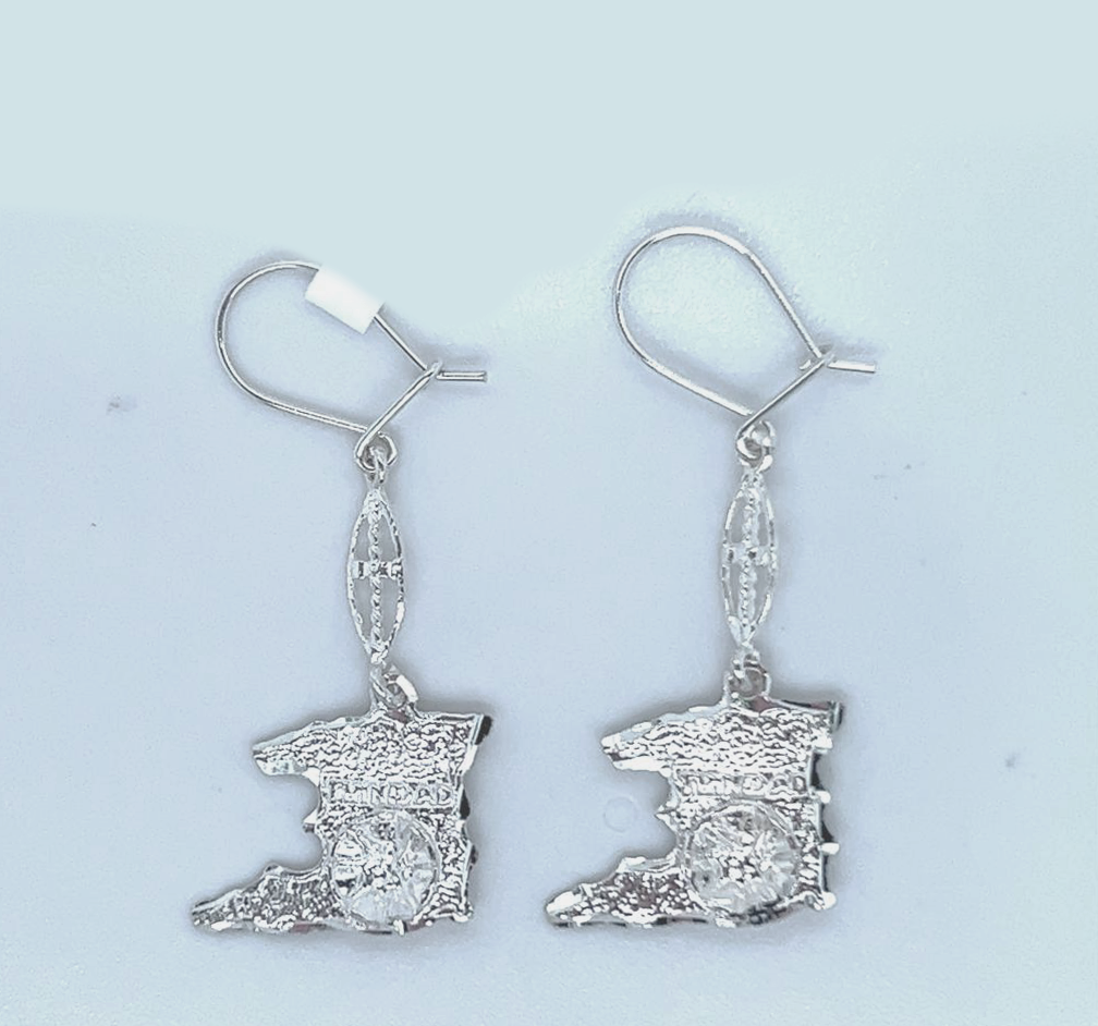 Silver Hanging Earring