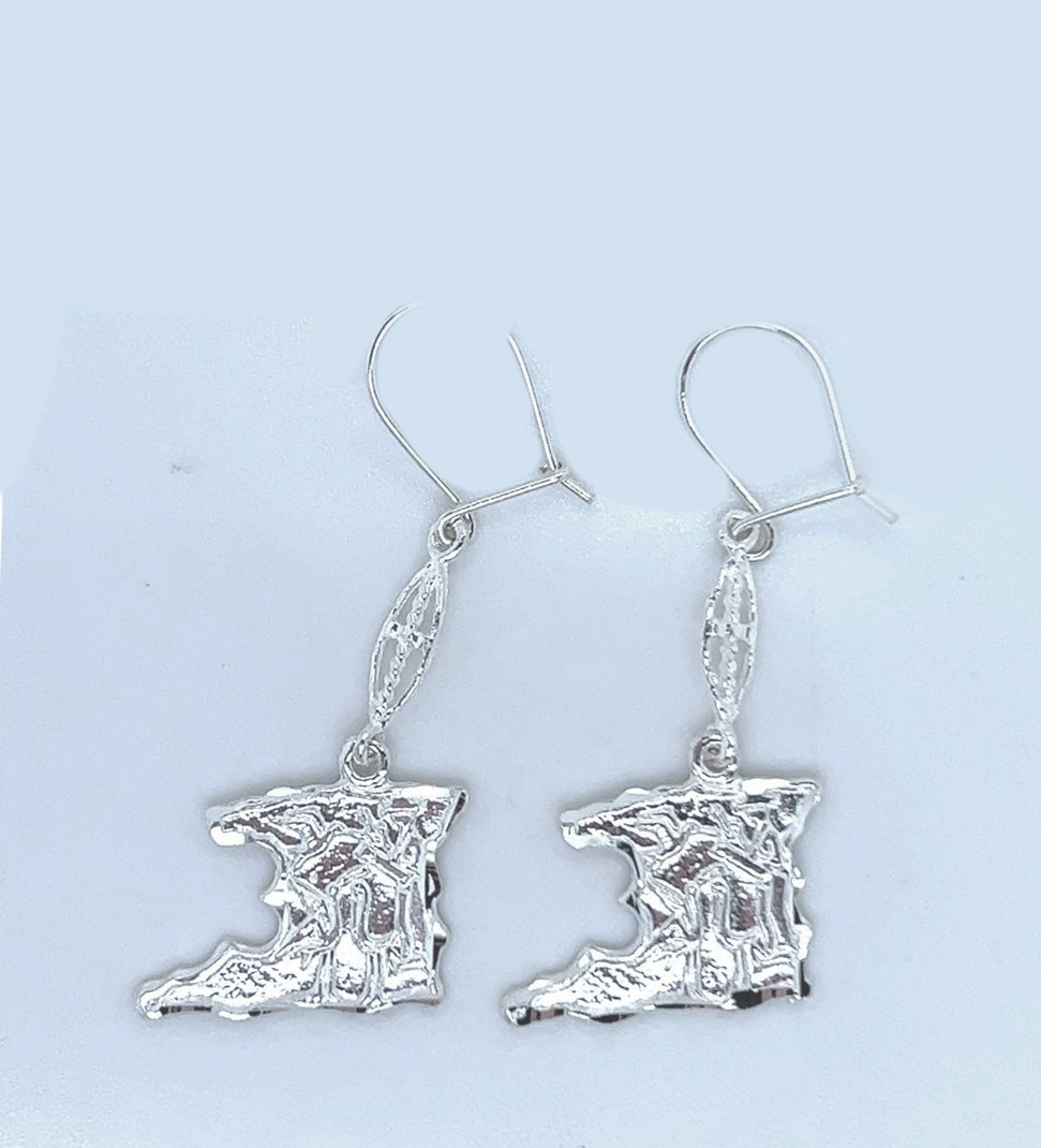 Silver Hanging Earring